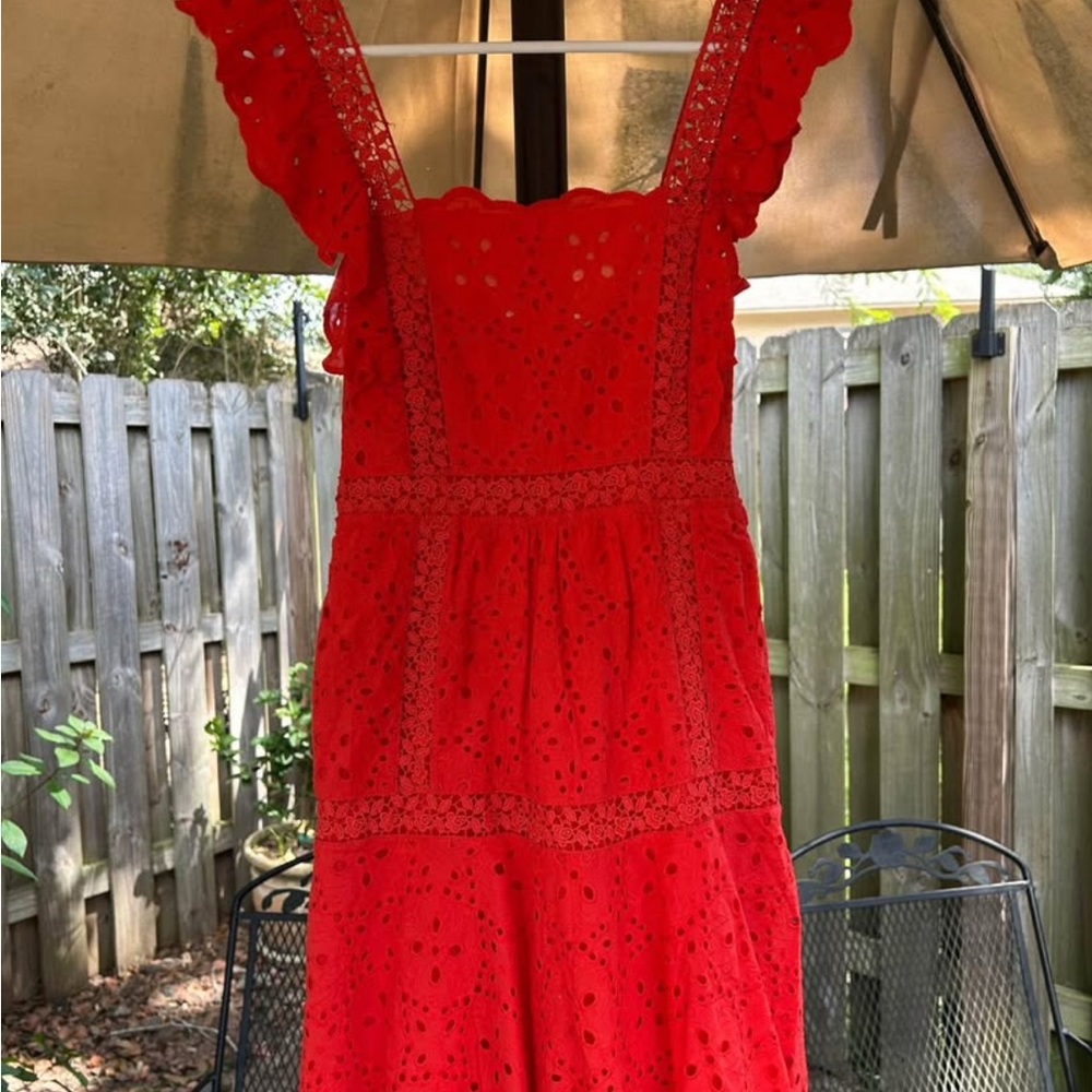 Betsey Johnson Grenadine Eyelet Dress